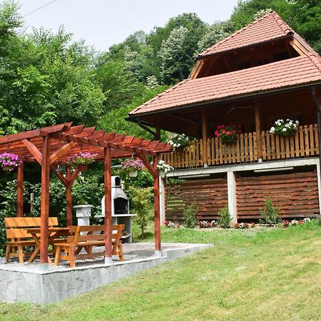 Villa Drinska Tisina Ljubovija Exterior foto