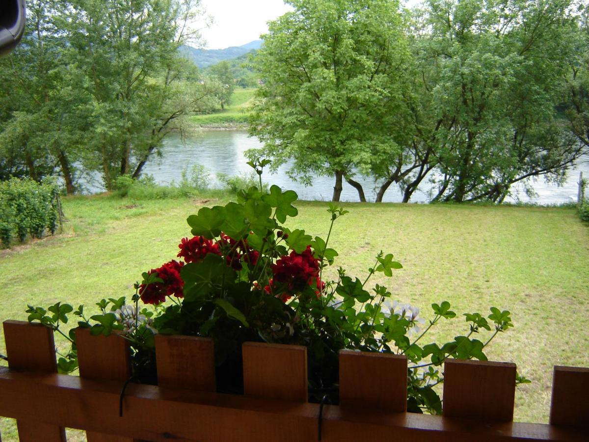 Villa Drinska Tisina Ljubovija Exterior foto