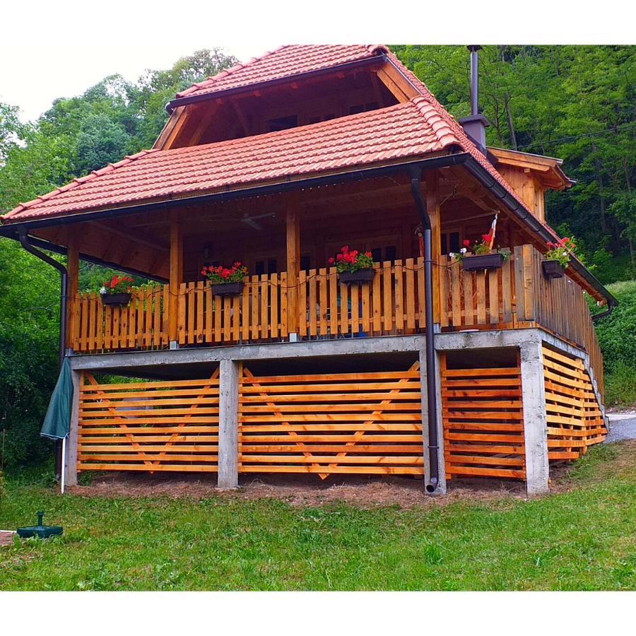 Villa Drinska Tisina Ljubovija Exterior foto